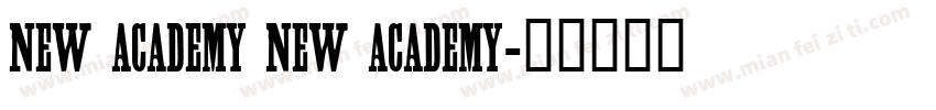 NEW ACADEMY NEW ACADEMY字体转换
